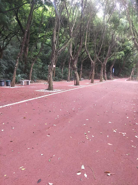 廣州增城龍山古樹(shù)公園案例----透水混凝土